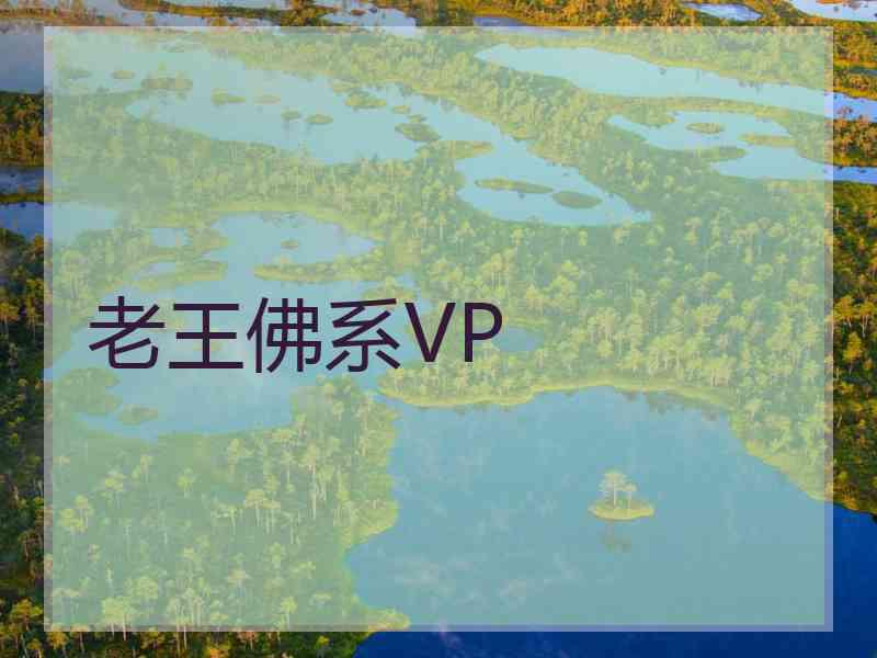 老王佛系VP