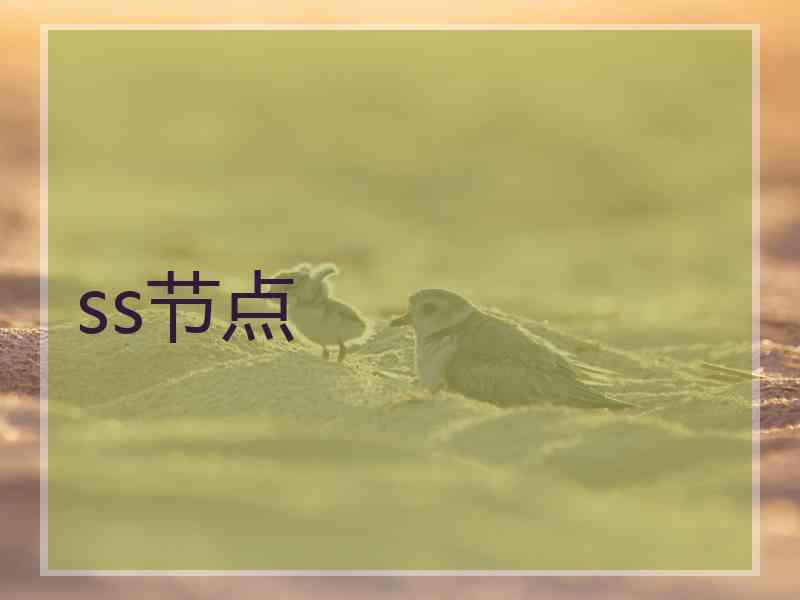 ss节点