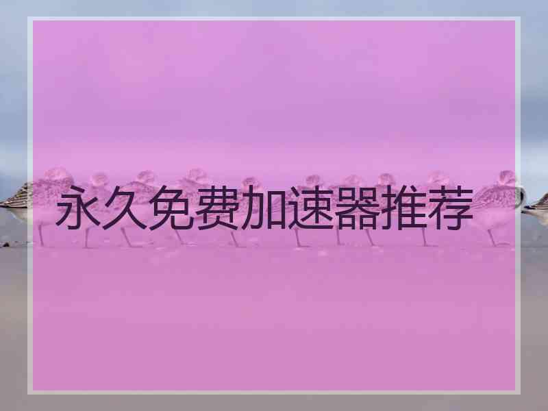 永久免费加速器推荐