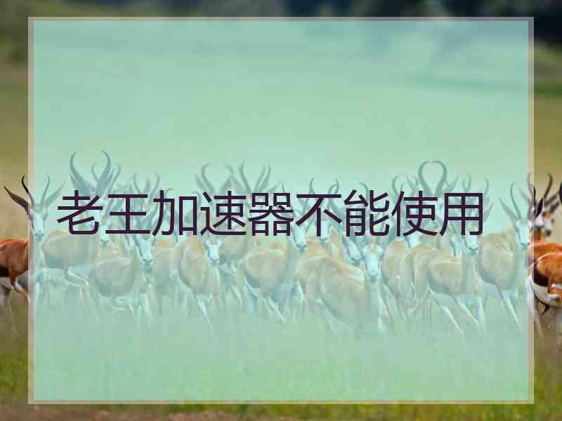 老王加速器不能使用