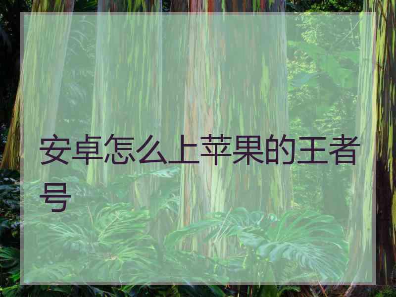 安卓怎么上苹果的王者号