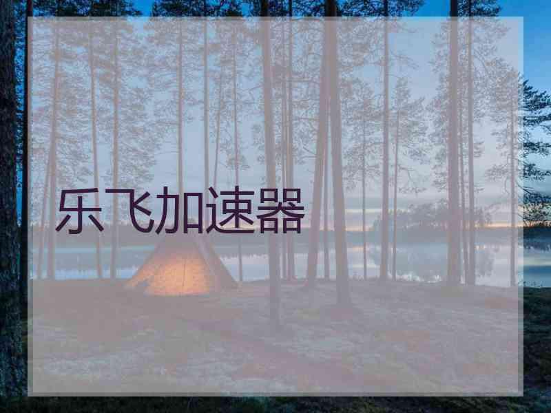 乐飞加速器