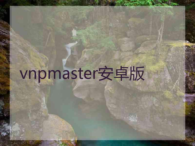 vnpmaster安卓版