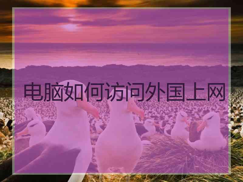 电脑如何访问外国上网