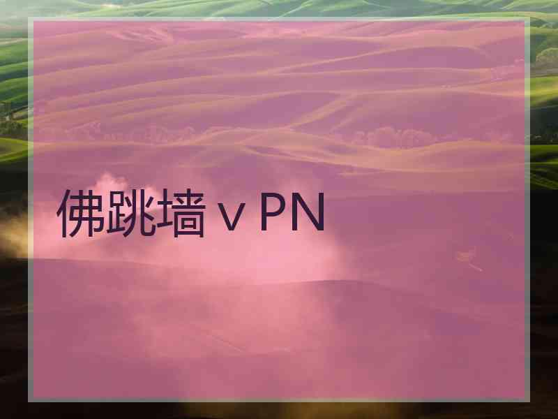 佛跳墙ⅴPN
