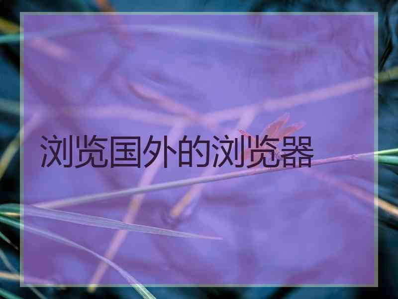 浏览国外的浏览器
