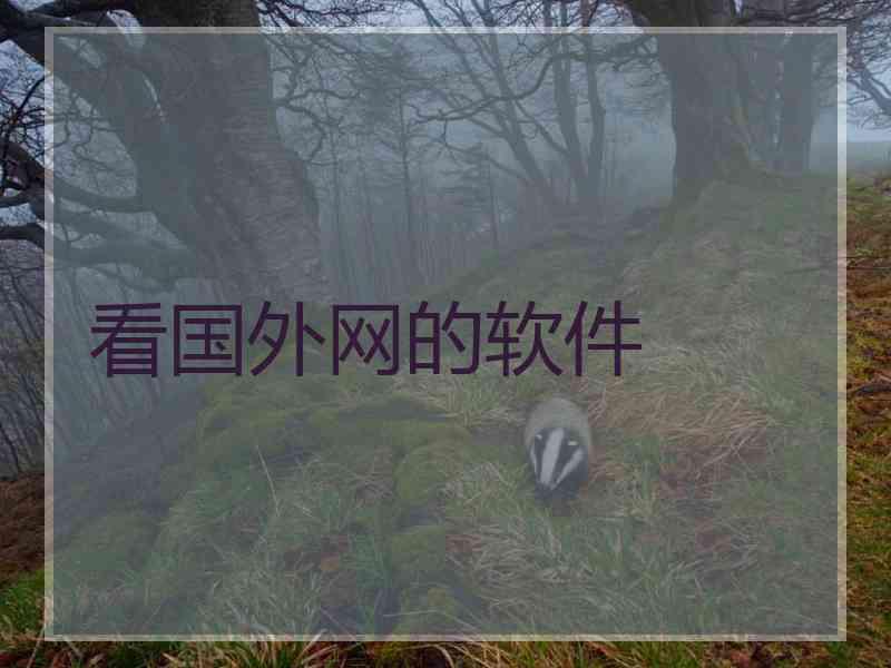 看国外网的软件