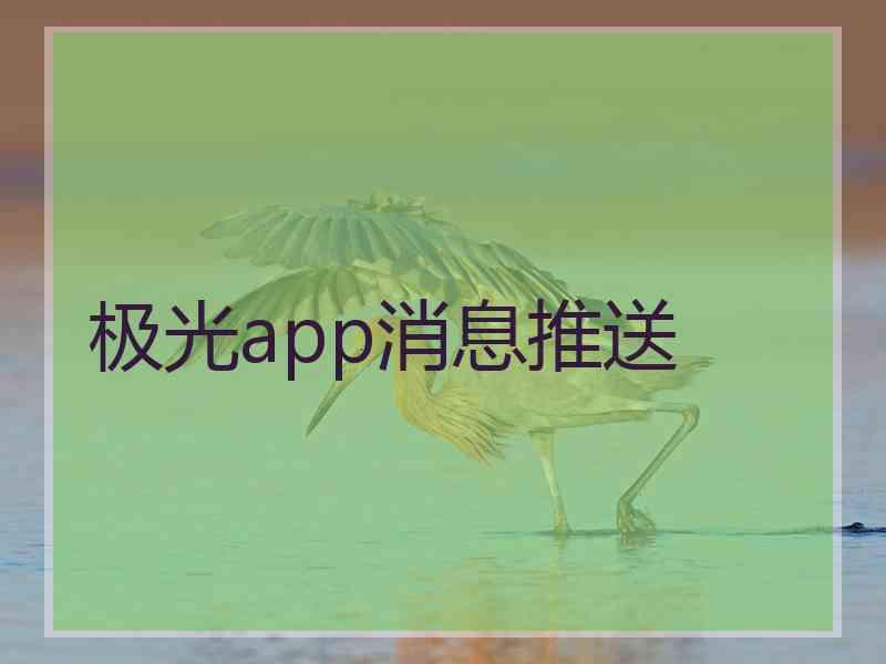 极光app消息推送