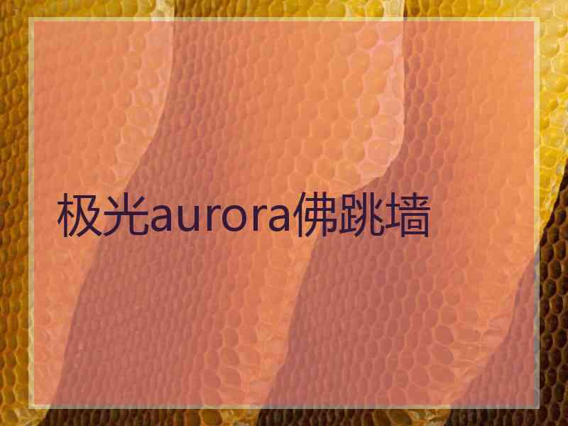 极光aurora佛跳墙