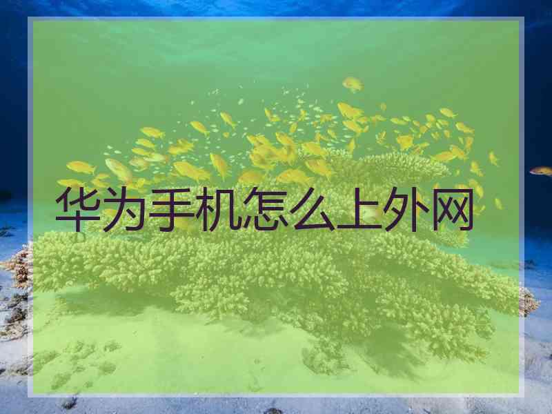 华为手机怎么上外网