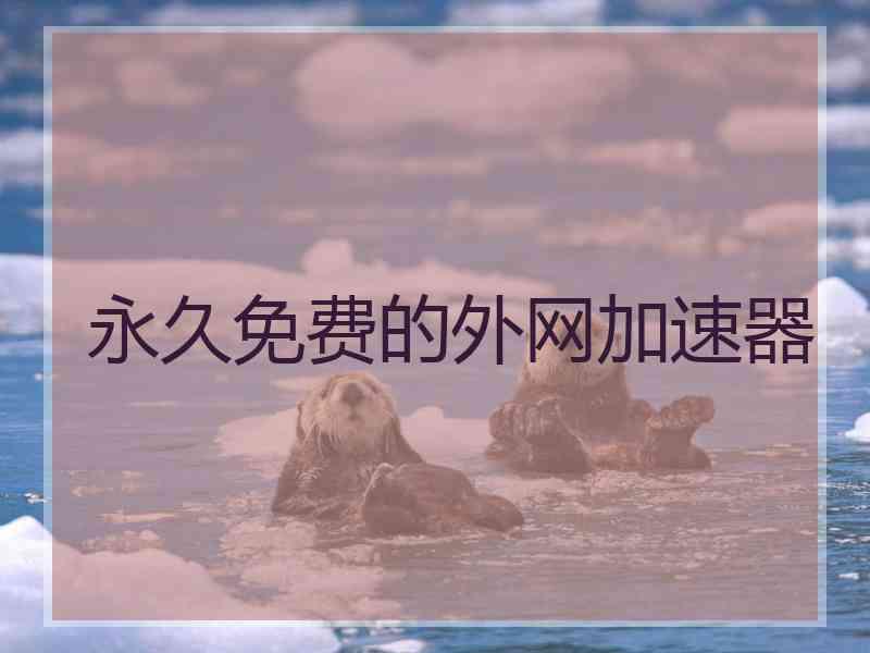 永久免费的外网加速器
