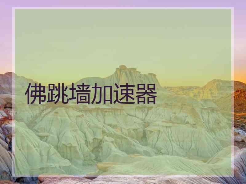 佛跳墙加速器
