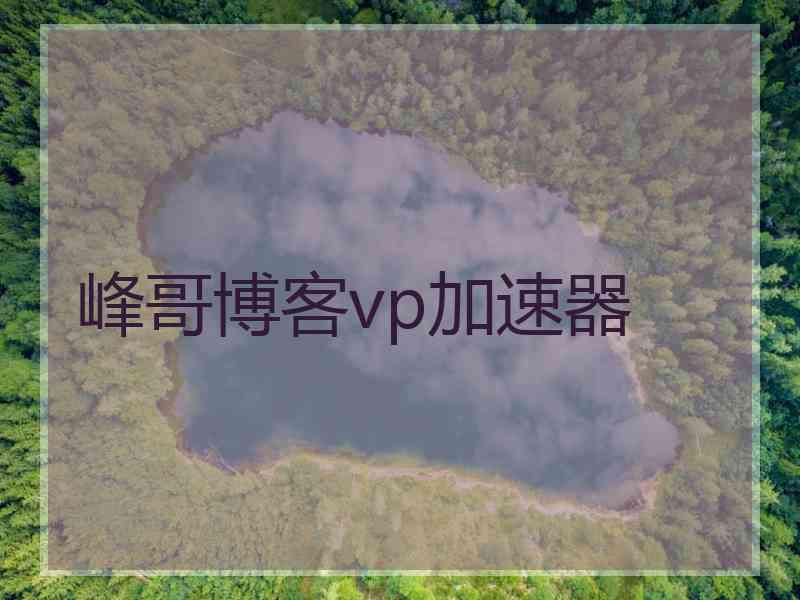 峰哥博客vp加速器