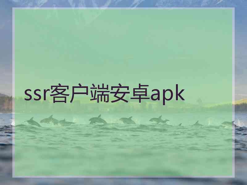 ssr客户端安卓apk