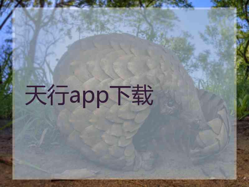 天行app下载