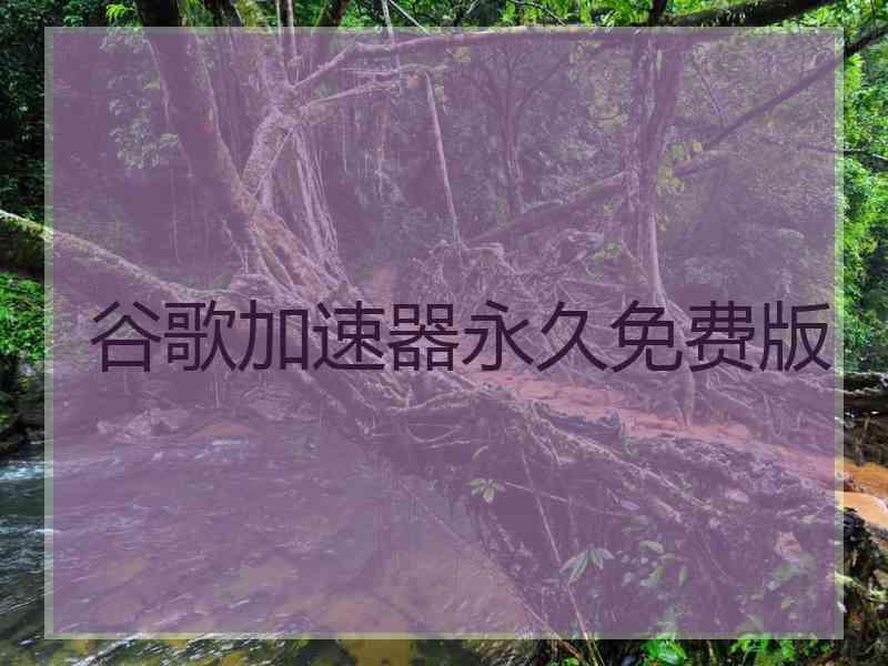 谷歌加速器永久免费版