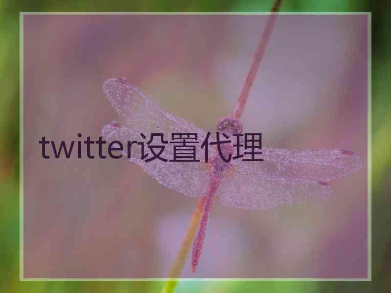 twitter设置代理