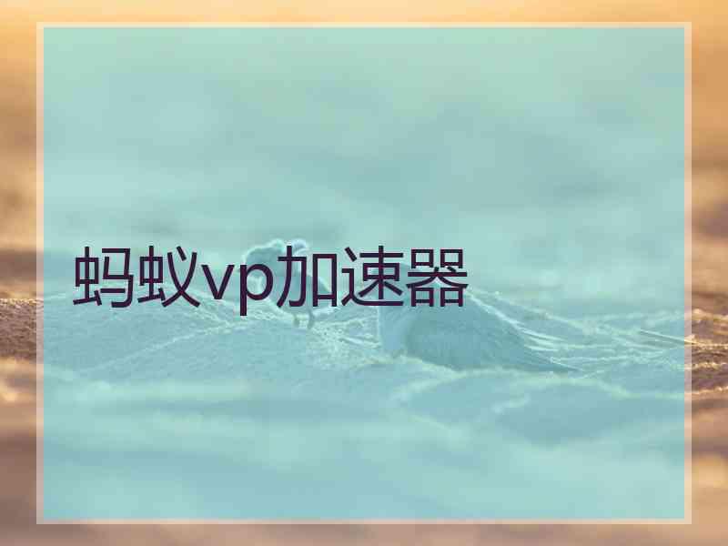 蚂蚁vp加速器
