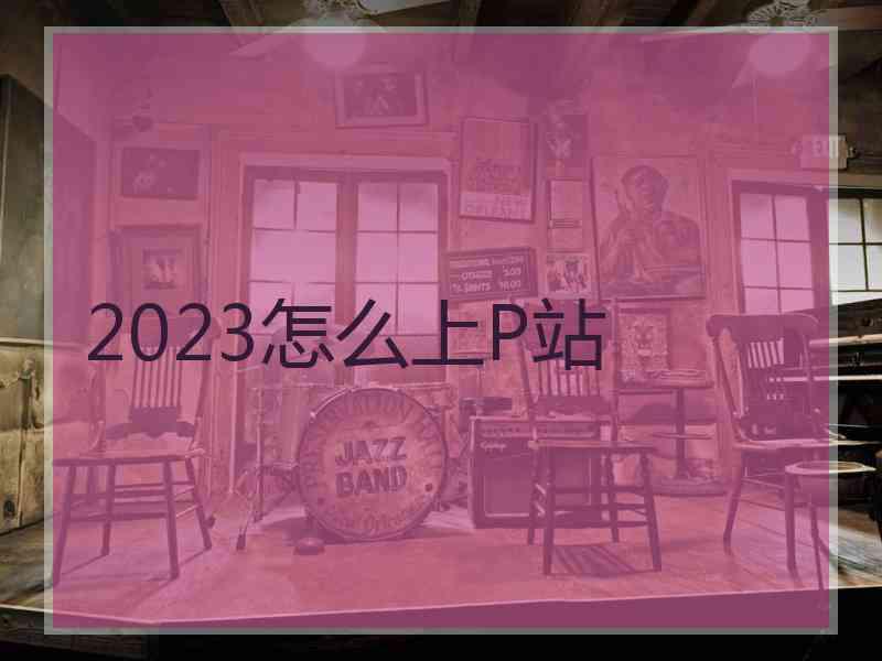 2023怎么上P站