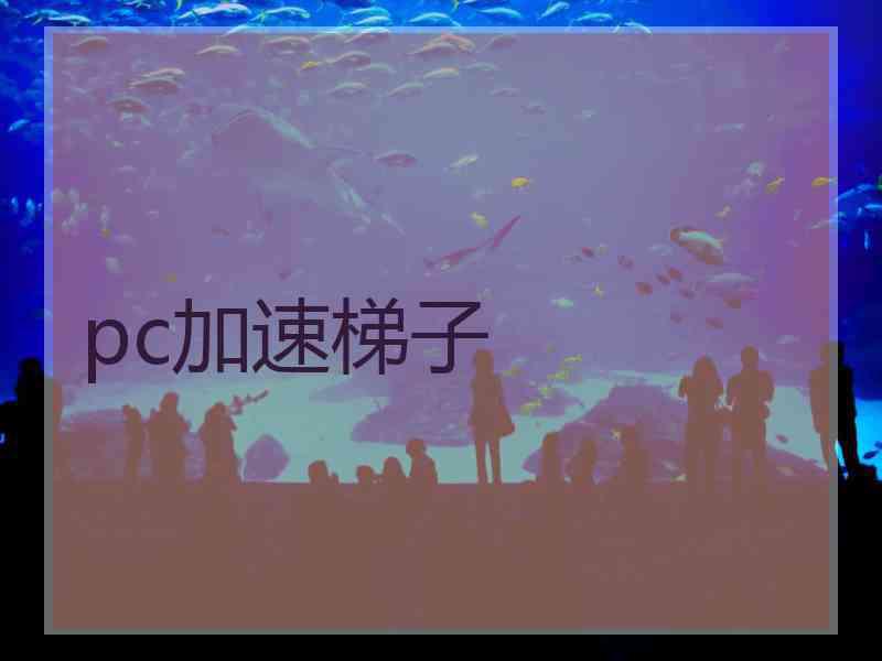 pc加速梯子