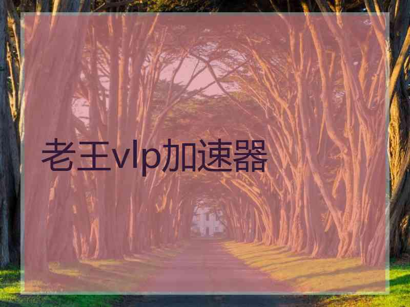 老王vlp加速器