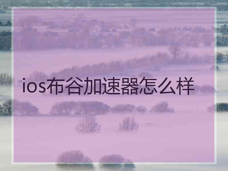ios布谷加速器怎么样