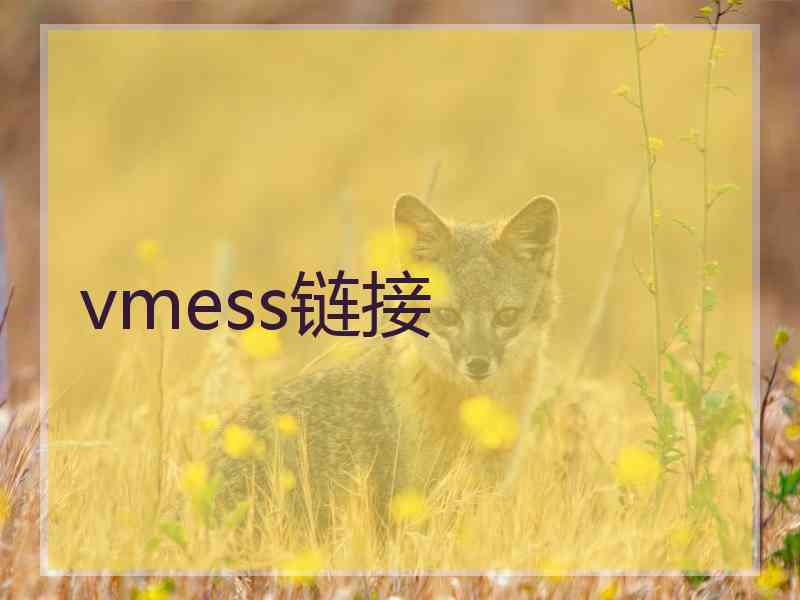 vmess链接