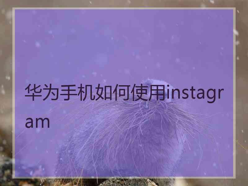 华为手机如何使用instagram