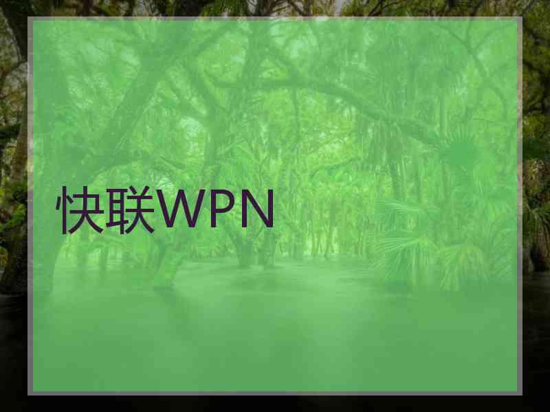 快联WPN