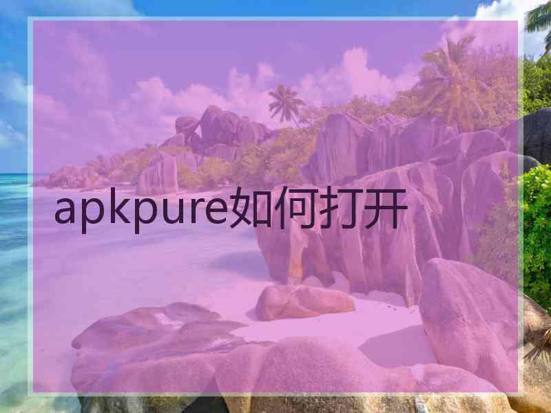 apkpure如何打开