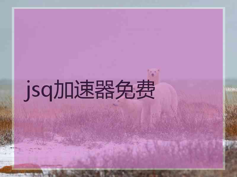 jsq加速器免费
