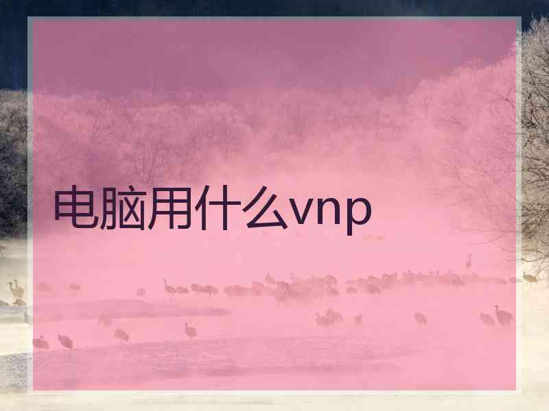 电脑用什么vnp