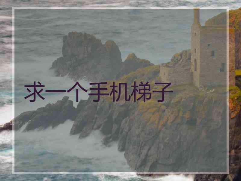 求一个手机梯子