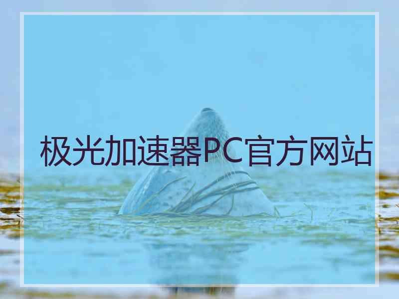 极光加速器PC官方网站