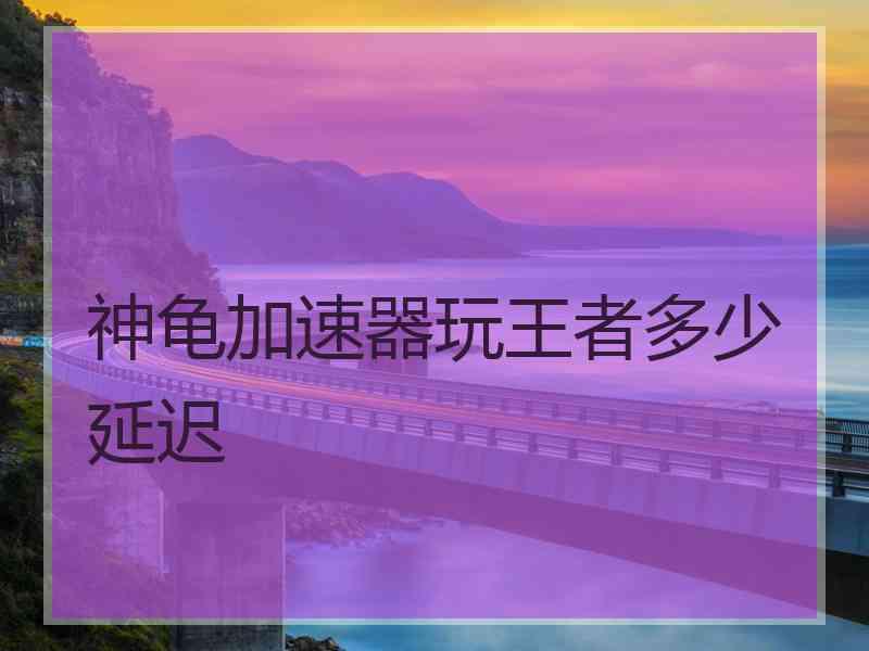 神龟加速器玩王者多少延迟