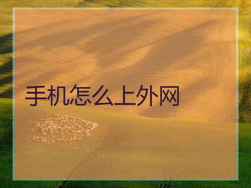 手机怎么上外网