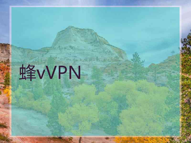 蜂vVPN