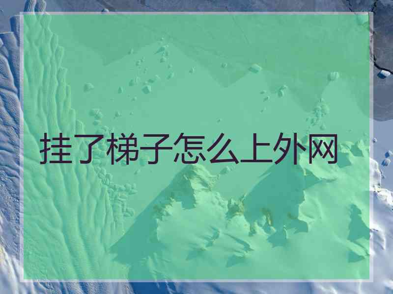 挂了梯子怎么上外网