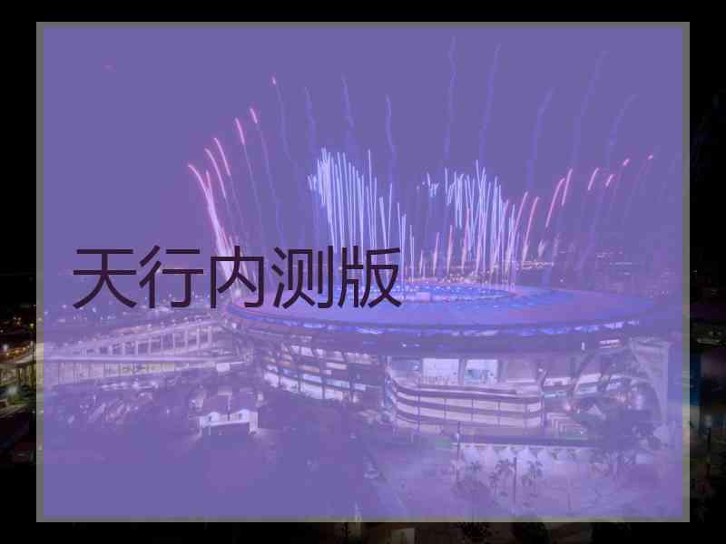 天行内测版