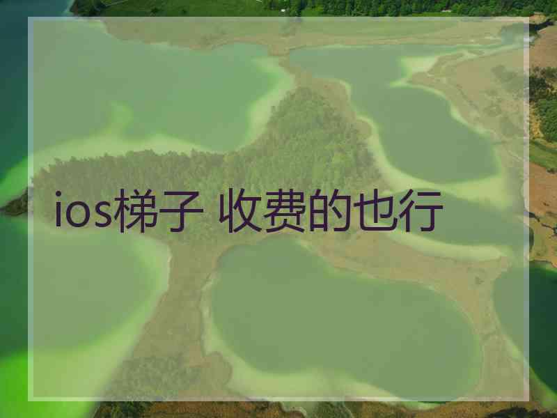 ios梯子 收费的也行
