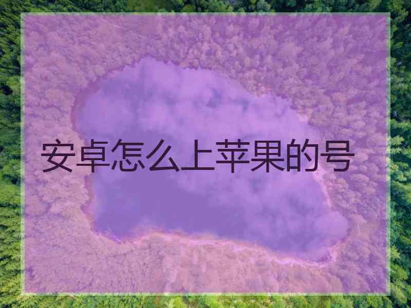 安卓怎么上苹果的号
