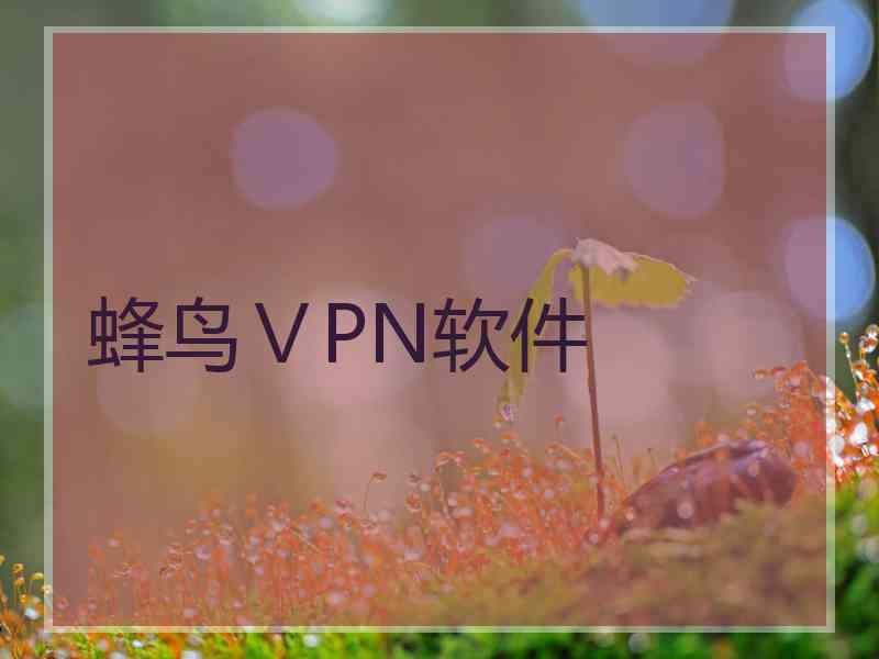 蜂鸟ⅤPN软件