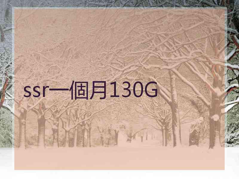 ssr一個月130G