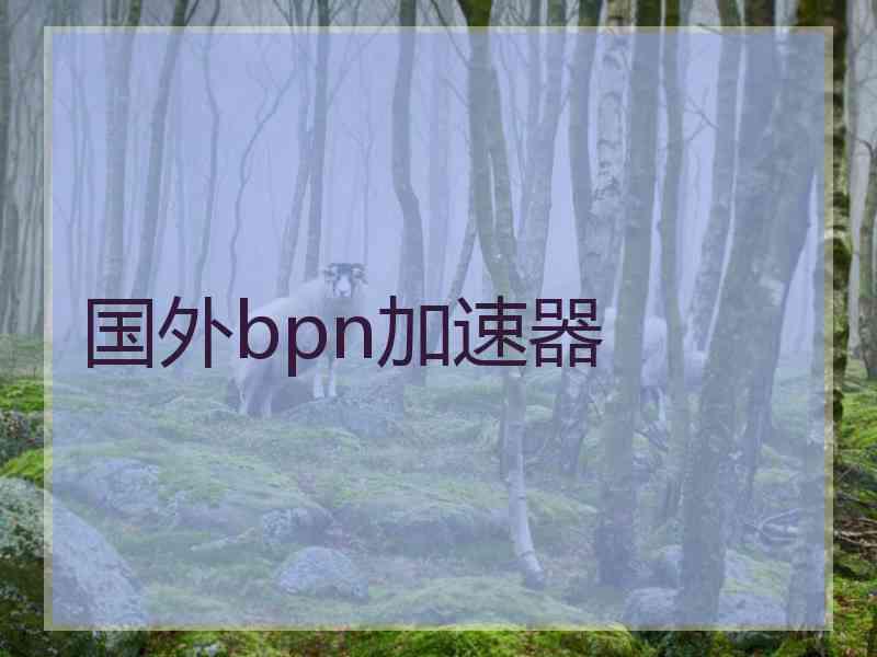 国外bpn加速器