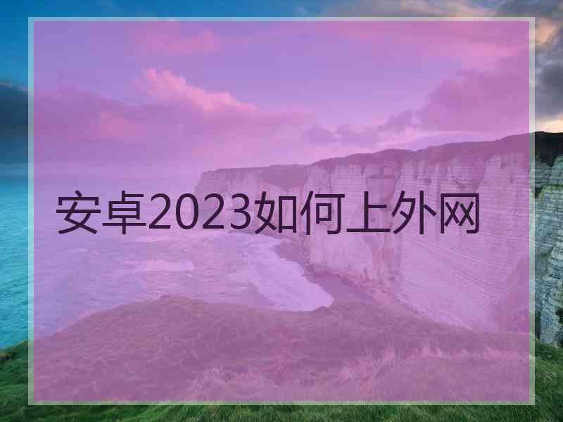 安卓2023如何上外网