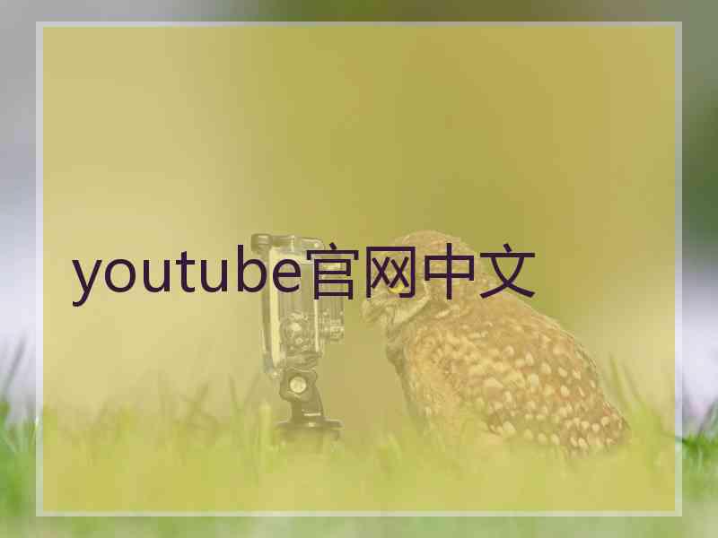 youtube官网中文