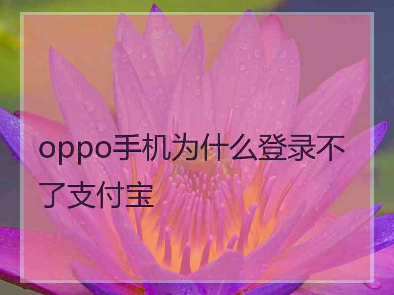 oppo手机为什么登录不了支付宝
