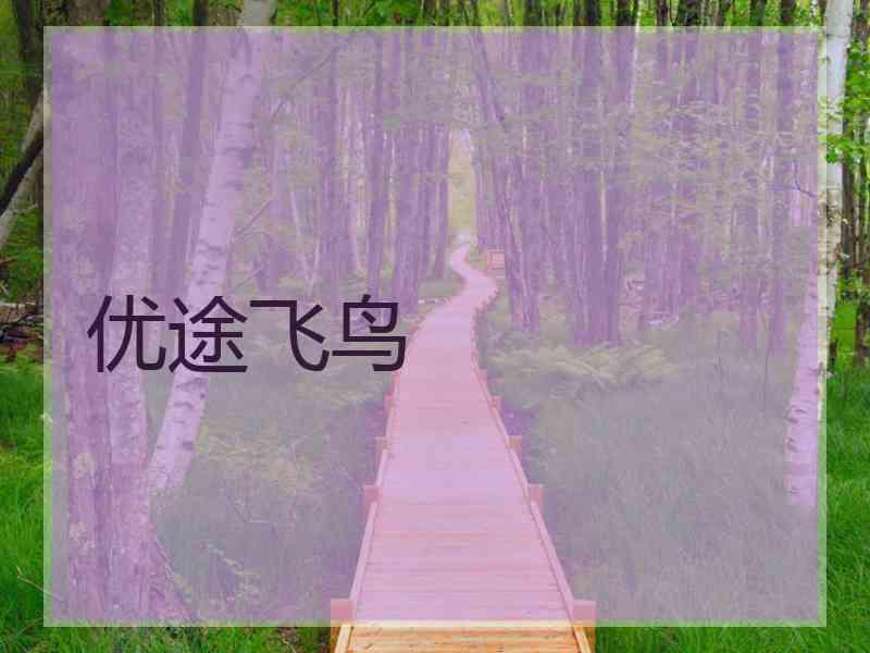 优途飞鸟