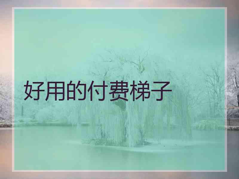 好用的付费梯子