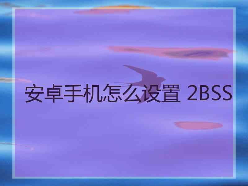 安卓手机怎么设置 2BSS
